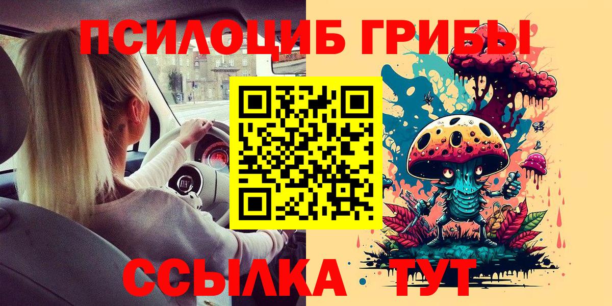 Псилоцибиновые грибы Psilocybine cubensis  Вход с VPN  Камень-на-Оби 