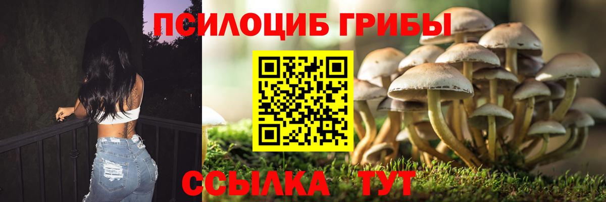 Псилоцибиновые грибы мицелий Камень-на-Оби